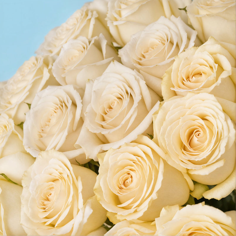 35 Premium White Roses #4