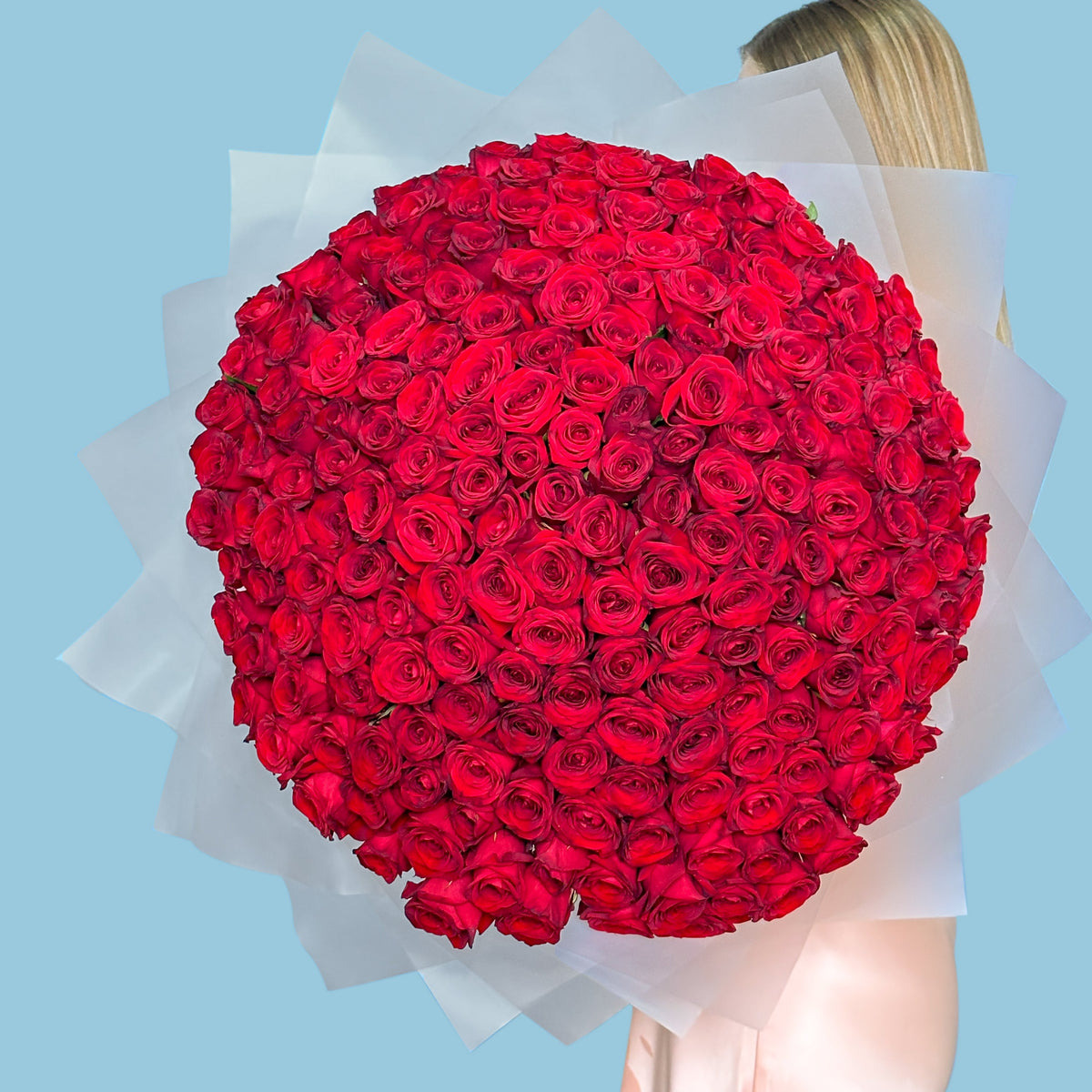 200 Red Roses Premium - MyFlowers