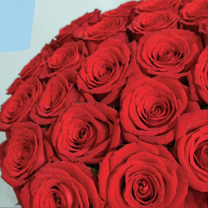 35 Premium Red Roses #4