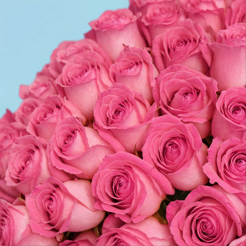 50 Premium Pink Roses #4