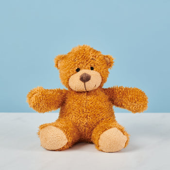 Teddy Bear 17cm #1