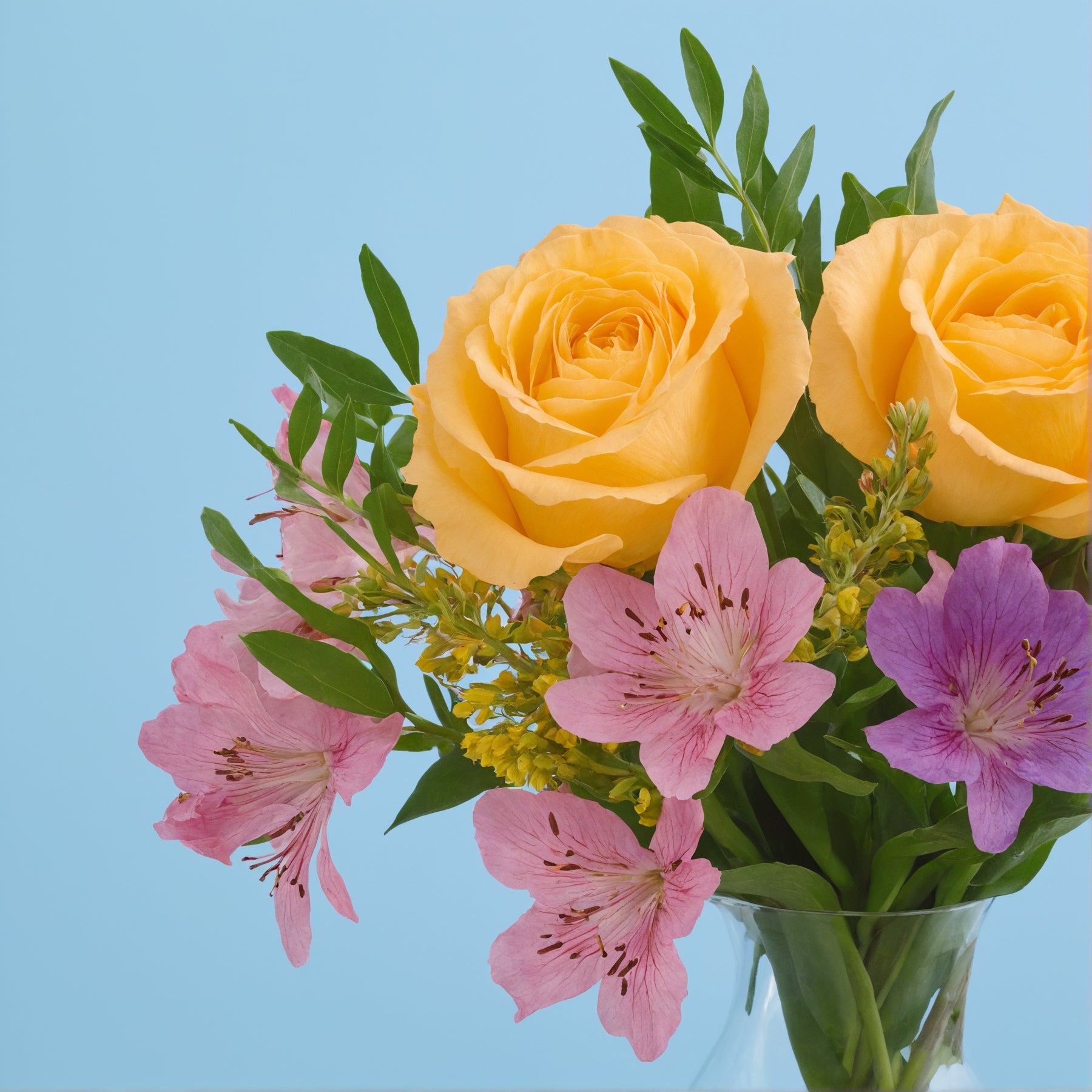 Garden Composition #3