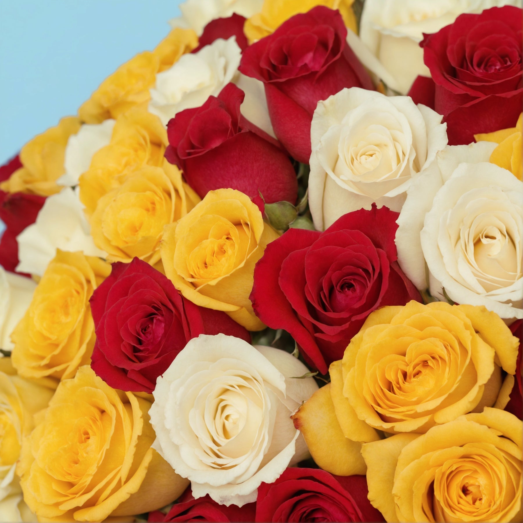 Bouquet of 100 Mix roses #8