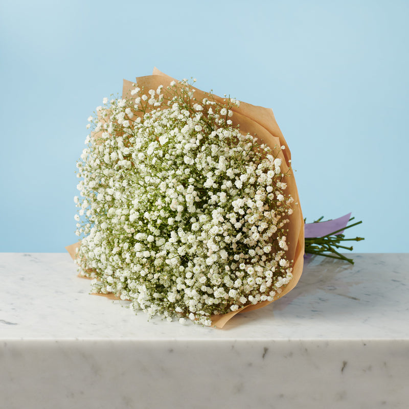 Hopeless Romantic #4